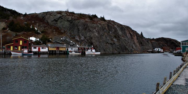 Saint John's Harbour