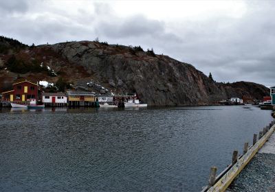 Saint John's Harbour