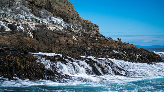 Tongzi Bay Tourist Area, Maoming
