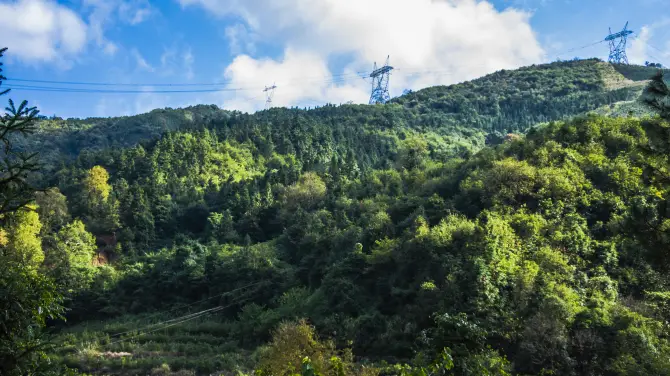 Qilin Shan Huwai Xunlian Center