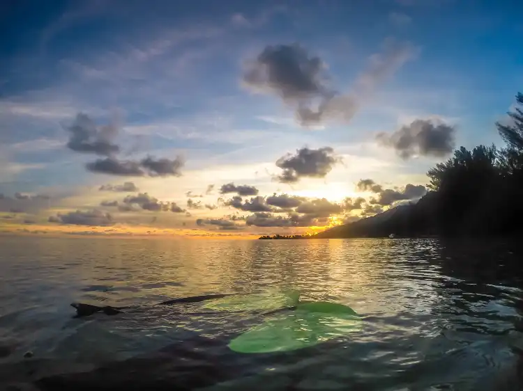 Vaadhoo