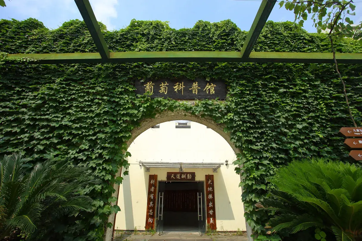 2_馬陸葡萄主題公園