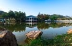 Songgang Park