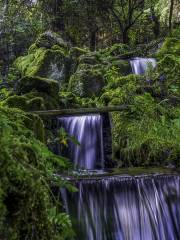 滿賢林千獅山