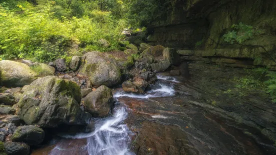 The Huanglian River Scenic Area