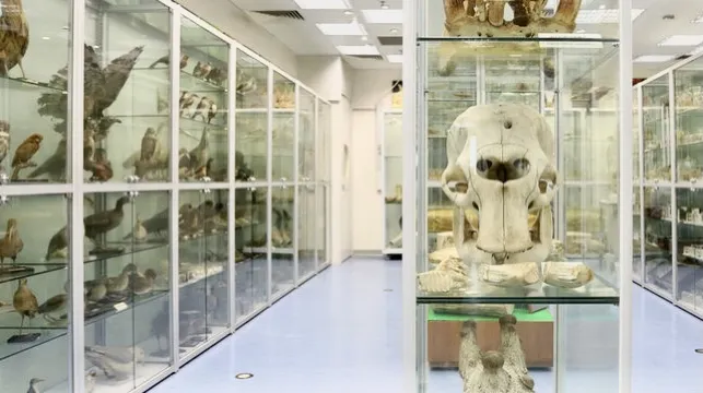 M+博物館開幕在即 整合七家本地人氣博物館資訊 歷史、文化、藝術一次過重溫