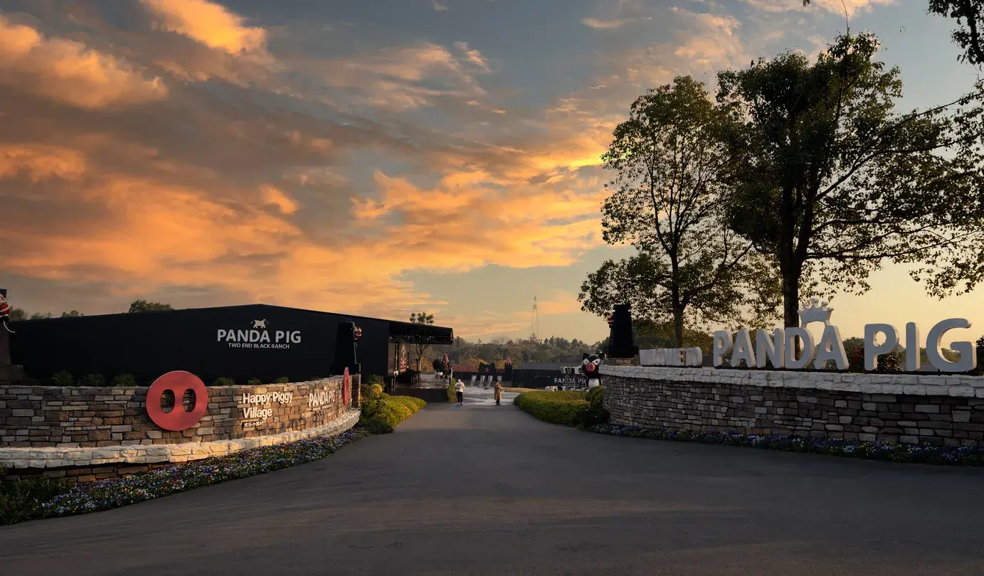 3_Panda Pig Two End Black International Ranch