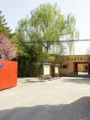 Qin Xianyang Palace Site Museum