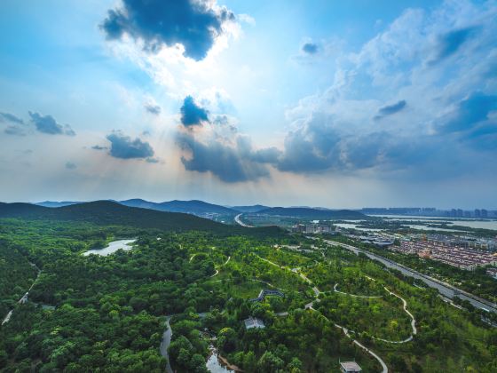 취안산 삼림공원