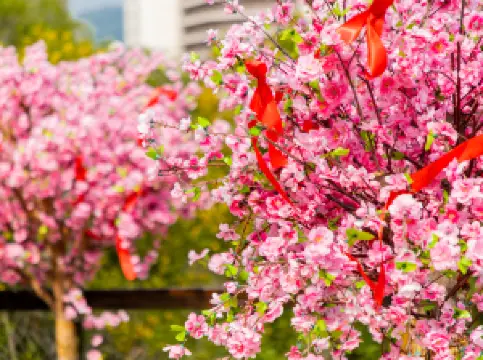 Beiluo Secret Mountain Park