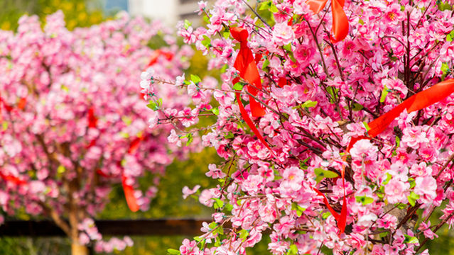 Beiluo Secret Mountain Park