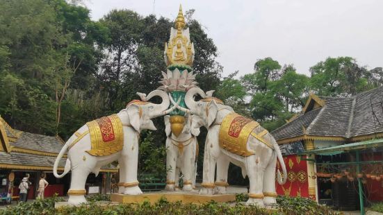 這裡有一個獨樹成林的景點。 獨樹成林景區位於雲南省西雙版納州