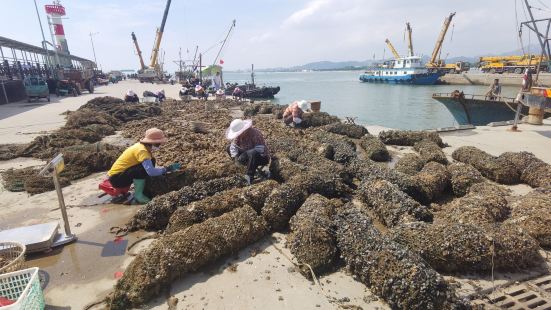 第一天上午十點多就出發任家台港口看海鮮人多販賣的時候還比較新