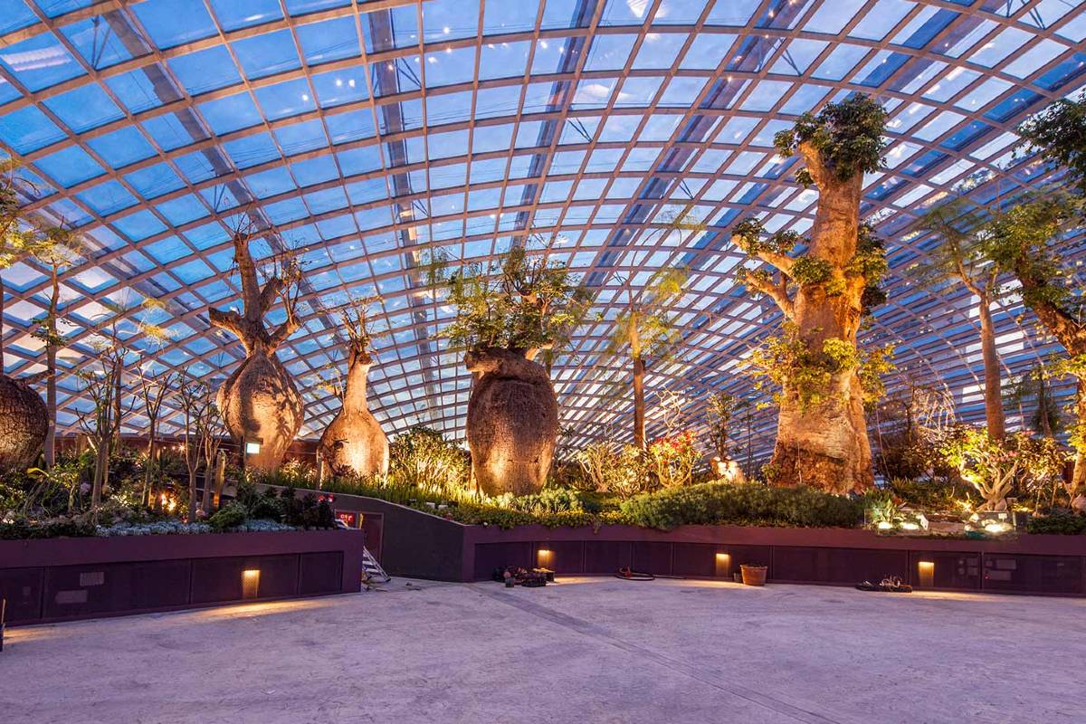Gardens by the Bay