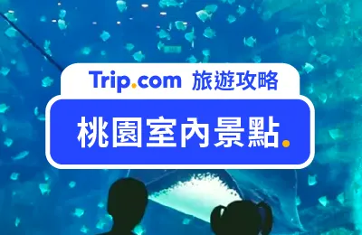 【2025 桃園室內景點推薦】不怕下雨！親子、情侶都愛的 15 個桃園室內景點