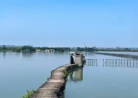 央茶湖