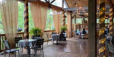 Palmettos on the Bayou