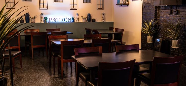 El Patron Tequileria