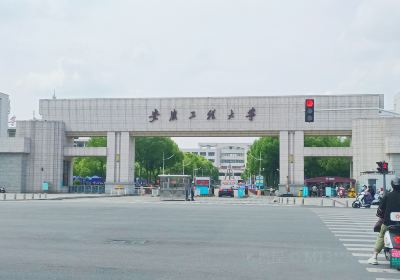 มหาวิทยาลัยวิศวกรรม Anhui