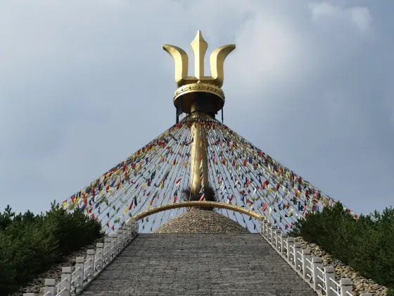 Разрешено размещения с домашними животными Отели в г. Ордос