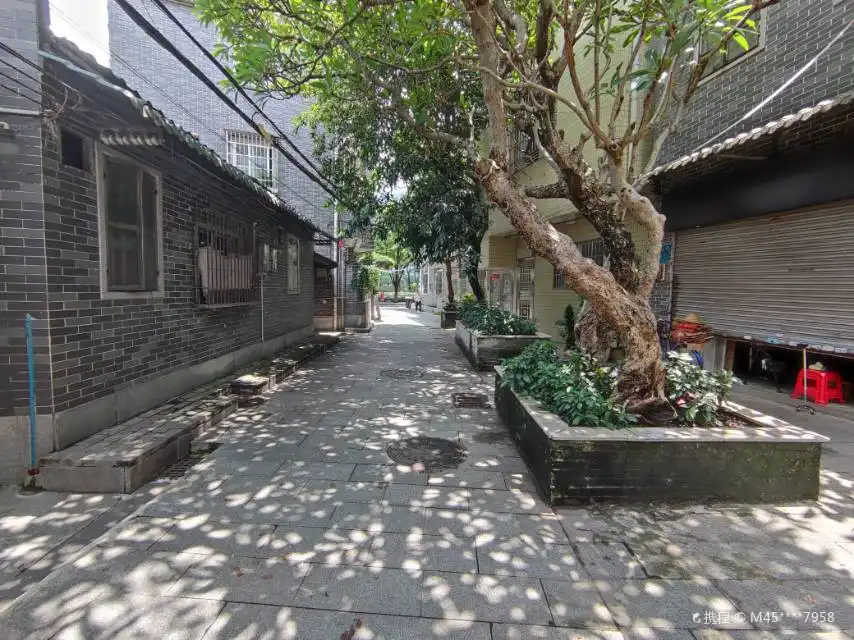 Hotels near Xinyuan Garden