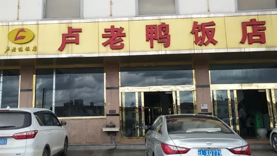 卢老鸭饭店(楚雄到昆明方向店)