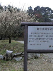 いなべ市梅林公園