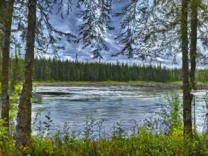 Soldotna Creek Park