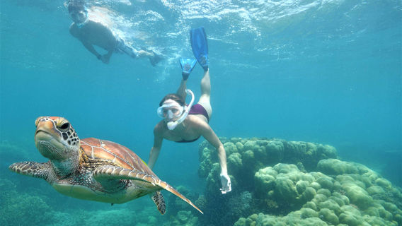 CairnsTours