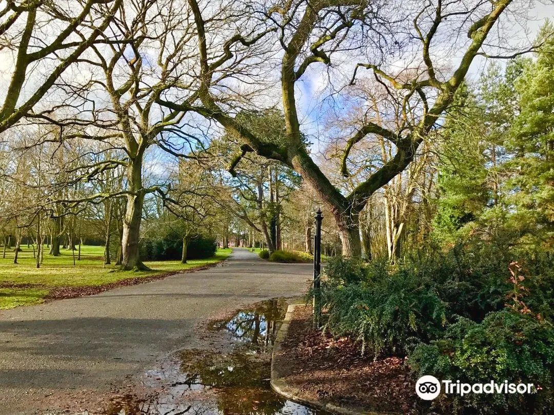 3_Ormeau Park