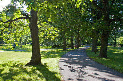 Valli Park