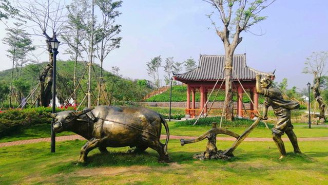 Fangchenggang Garden Expo Park