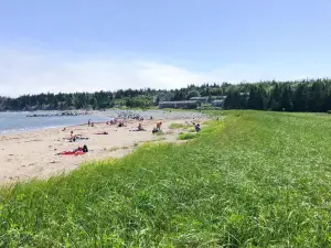 Rainbow Haven Beach Provincial Park