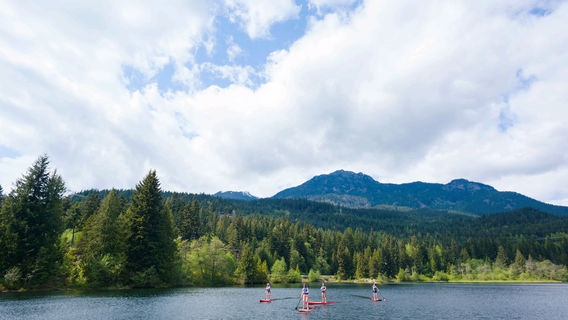 Whistler