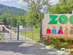 Zoo Brasov