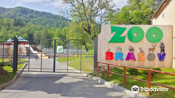 Zoo Brasov