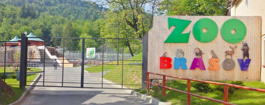 Zoo Brasov