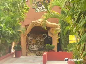 Zoologico Zoochilpan