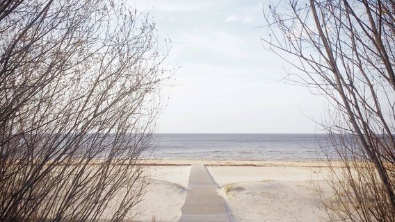 White Dune in Saulkrasti