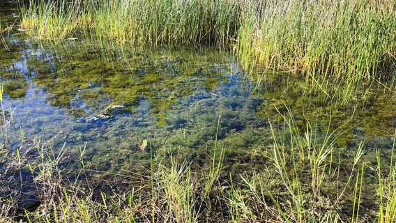 Guantingshuiku National Wetland Park