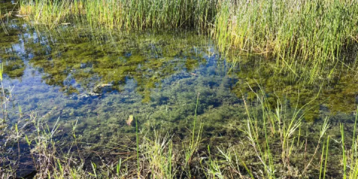 官廳水庫國家濕地公園