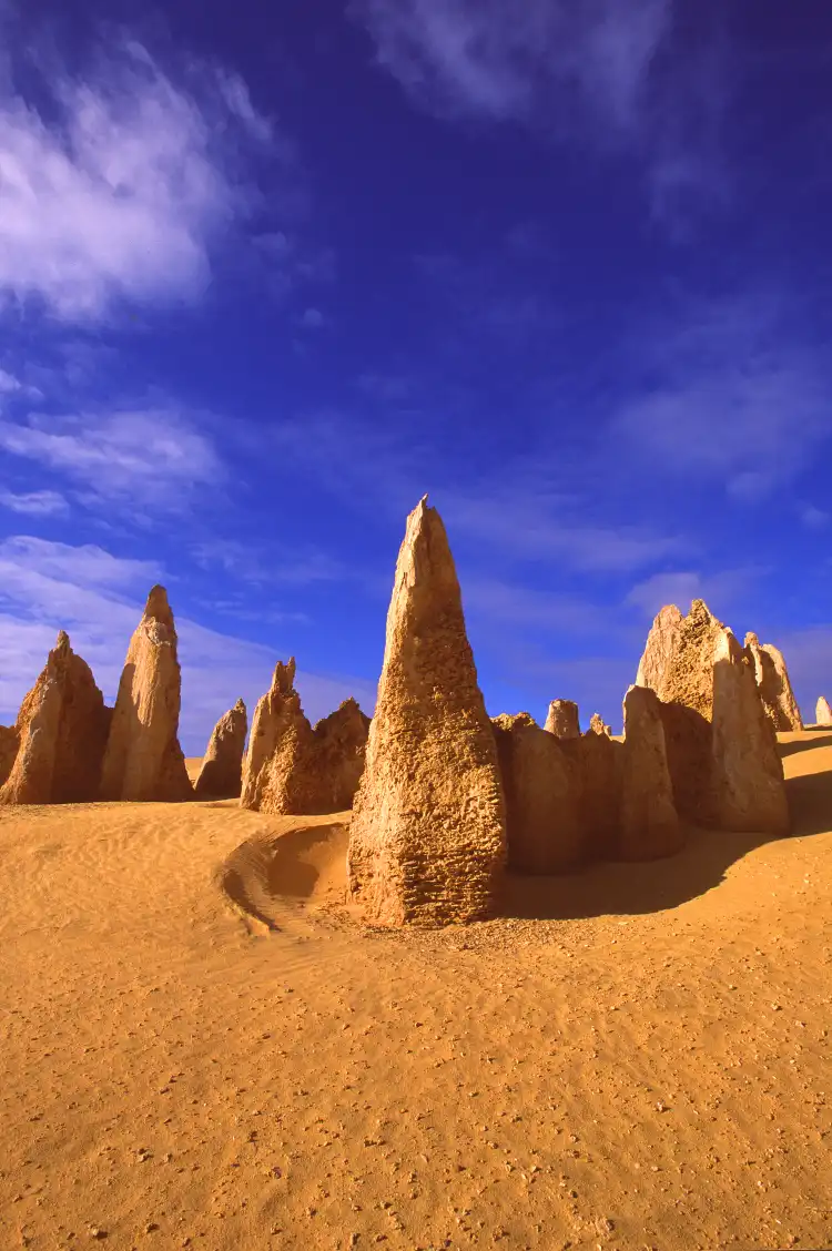 Hotel dekat Nambung National Park