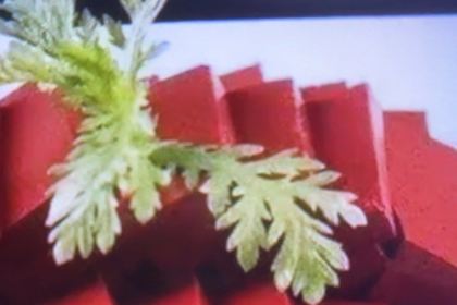 莽三毛肚火锅(酉阳龙湾店)