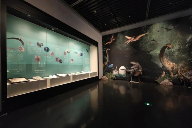 《洪荒印記》遼西古生物化石科普展 | 慈溪