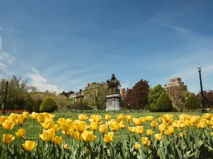 Boston Common