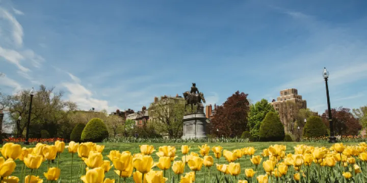 波士頓公園