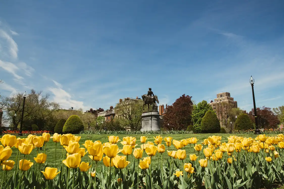 Hotels near Boston Common