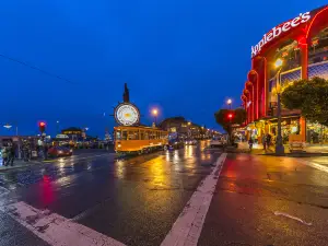 Migliori 10 Attrazioni del Giro Notturno a San Francisco