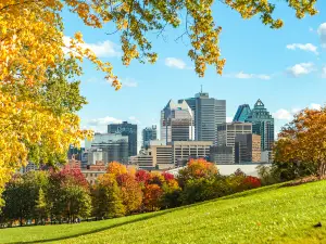 Attrazioni per la visione autunnale a Montréal: le opzioni più popolari