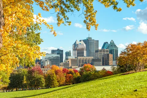 Mount Royal Park